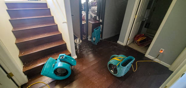 Best Flood restoration services  in Los Luceros, NM