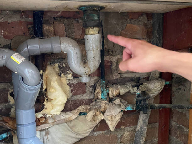 Best 24/7 water damage repair  in Los Luceros, NM